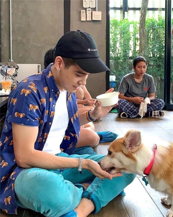 Siêu cấp dễ thương: Quán cà phê chó corgi nổi tiếng nhất Bangkok khiến dân tình phát sốt, con nào con nấy cũng ú nu ú nần - Ảnh 20.