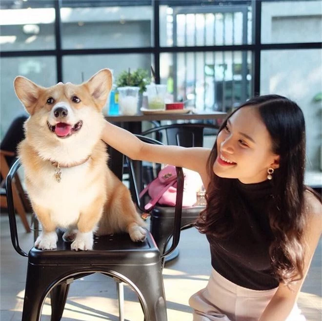 Siêu cấp dễ thương: Quán cà phê chó corgi nổi tiếng nhất Bangkok khiến dân tình phát sốt, con nào con nấy cũng ú nu ú nần - Ảnh 3.