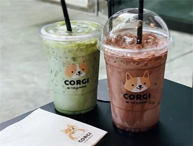 Siêu cấp dễ thương: Quán cà phê chó corgi nổi tiếng nhất Bangkok khiến dân tình phát sốt, con nào con nấy cũng ú nu ú nần - Ảnh 6.