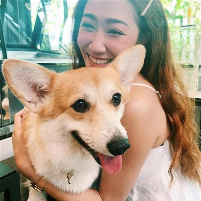 Siêu cấp dễ thương: Quán cà phê chó corgi nổi tiếng nhất Bangkok khiến dân tình phát sốt, con nào con nấy cũng ú nu ú nần - Ảnh 9.