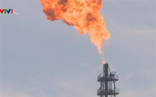 IEA hạ dự báo nhu cầu dầu mỏ toàn cầu