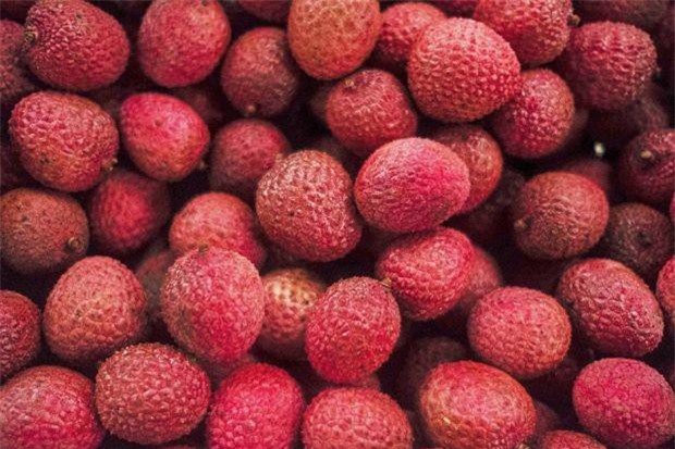 Gần 60 trẻ tử vong khi ăn quả vải lúc đói