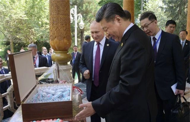 Ông Putin tặng kem cho ông Tập nhân dịp sinh nhật - 3