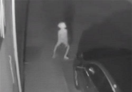 CLIP: Dựng tóc gáy sinh vậy kỳ lạ nhìn như 'yêu tinh' ở Mỹ