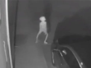 CLIP: Dựng tóc gáy sinh vậy kỳ lạ nhìn như 'yêu tinh' ở Mỹ