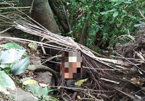 Quảng Trị: Trèo cây đoác cao hơn 4m lấy rượu, người đàn ông ngã tử vong