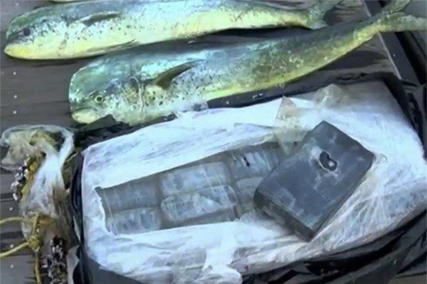 Thấy cá nhảy liên tục, mò lại xem, phát hiện điều đáng sợ dưới mặt nước