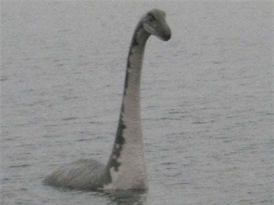 Phân tích DNA từ hồ Loch Ness để tìm “quái vật” huyền thoại
