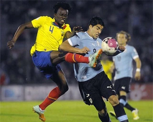Uruguay - Ecuador: Chờ Cavani, Suarez thị uy sức mạnh - 1