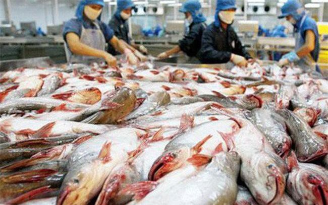 Cơ hội lớn xuất khẩu cá tra sang 10 nước CPTPP trong thời gian tới