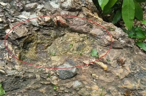 Dấu chân bên phải của Trạng in hằn trên tảng đá nằm ven sông Giang. Dấu chân bên phải của Trạng in hằn trên tảng đá nằm ven sông Giang.