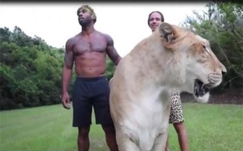 Kinh hãi cảnh dắt quái thú khổng lồ đi dạo 