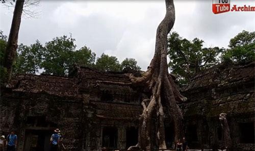 CLIP: Kỳ lạ ngôi đền bị rễ cây cổ thụ "nuốt chửng" ở Campuchia