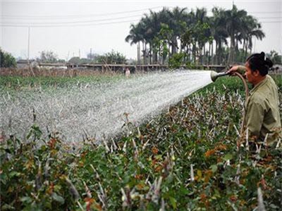 Hà Nội: Bản sắc riêng chỉ có ở Đan Phượng