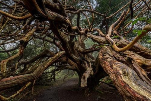 Loạt phong cảnh kỳ thú nhất thế giới, cứ ngỡ chỉ có trên phim