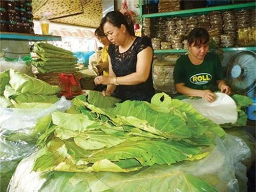 hoi sinh la loon-loai cay ky la thay tui ni long o rung binh thuan hinh anh 1