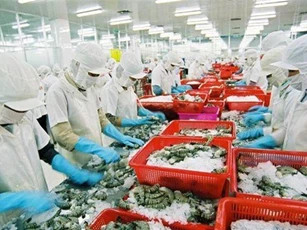 Xuất khẩu thuỷ sản mang về 9 tỷ USD, ngành tôm đóng góp tới 40%