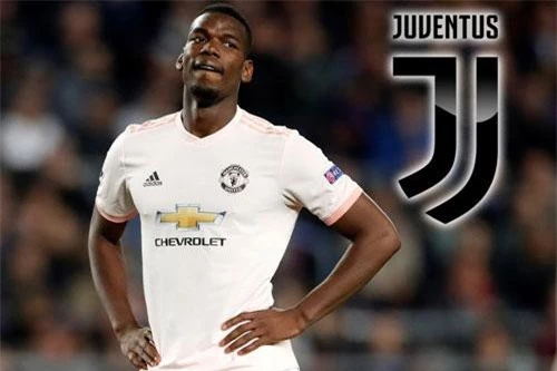 Tiền vệ: Paul Pogba (M.U).