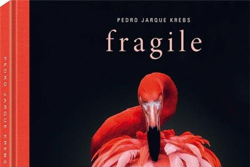 Những bức ảnh động vật hoang dã tạo dáng "cực duyên"