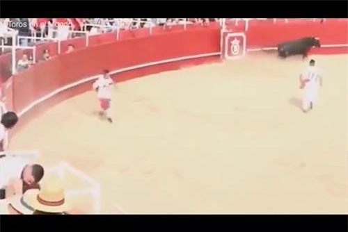 CLIP: Đám đông hoảng loạn khi bò tót hất tung người đàn ông lên không trung