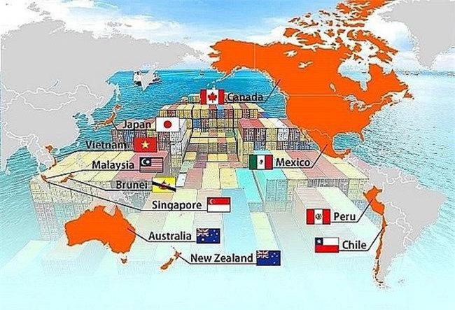 Chỉ định cơ quan đầu mối triển khai Hiệp định CPTPP