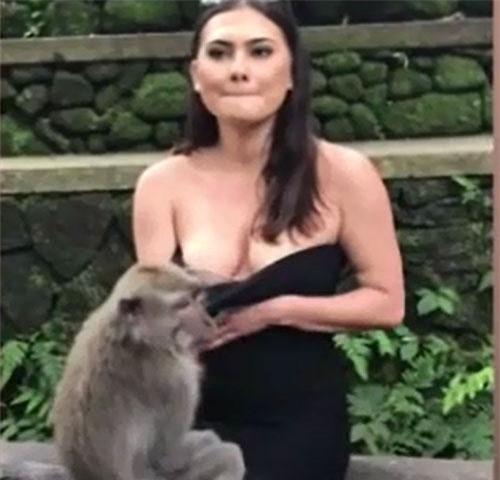 CLIP: Con khỉ láu cá nhất năm là đây!