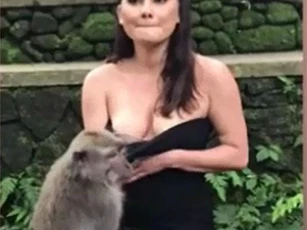 CLIP: Con khỉ láu cá nhất năm là đây!