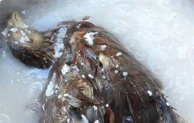 Chồng dặn "nấu cháo gà nguyên con" và thành quả của cô vợ đảm khiến dân mạng sốc toàn tập