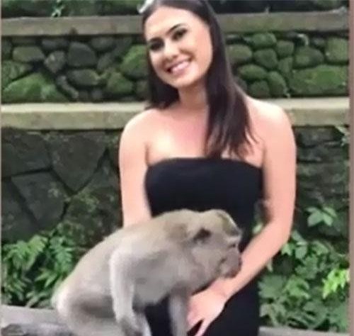 Khỉ ranh ma "sàm sỡ" du khách nữ 