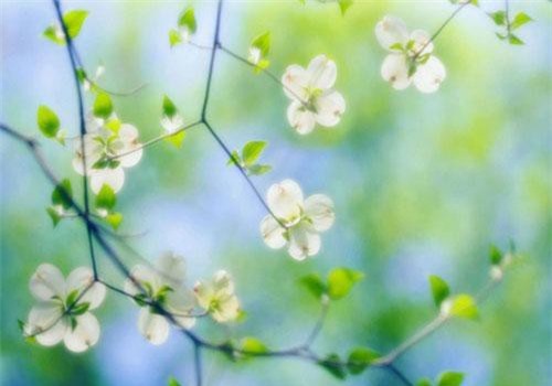 5 cung Hoàng đạo bản lĩnh ít ai sánh bằng, khó khăn nào cũng vượt qua trong ngày thứ Sáu (21/6)