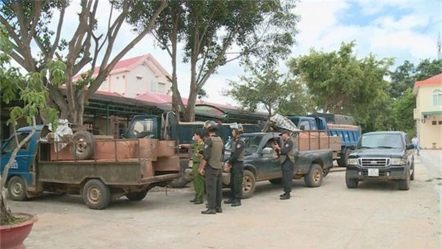 Công an nổ súng bắt giữ 7 đối tượng vận chuyển gỗ lậu trong đêm - 1 Công an nổ súng bắt giữ 7 đối tượng vận chuyển gỗ lậu trong đêm - 1