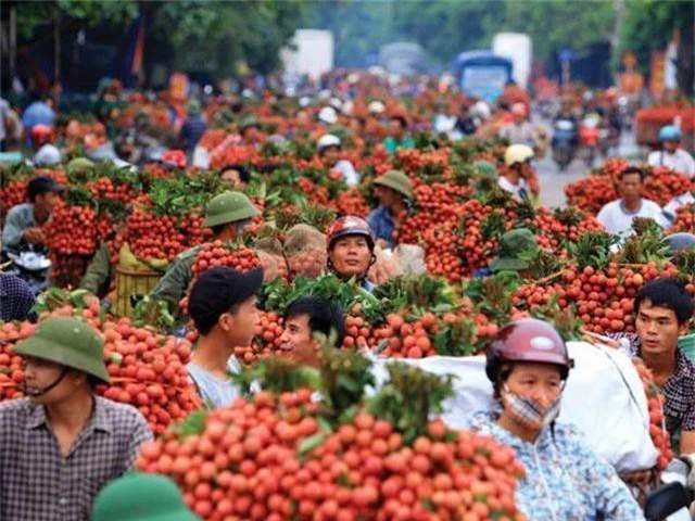 Mất mùa nghiêm trọng, giá trái cây nội địa Trung Quốc tăng vọt, cơ hội cho quả vải Việt Nam - 1