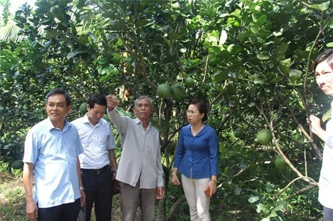 phuc tai ong cha trong buoi da xanh ma xay "biet phu" tien ty hinh anh 1