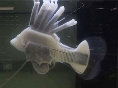 Cá robot có thể bơi nhiều giờ bằng… máu tổng hợp