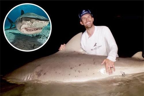 Bắt cá mập quái vật nguy hiểm nhất thế giới nặng gần 2 tạ ở Mỹ