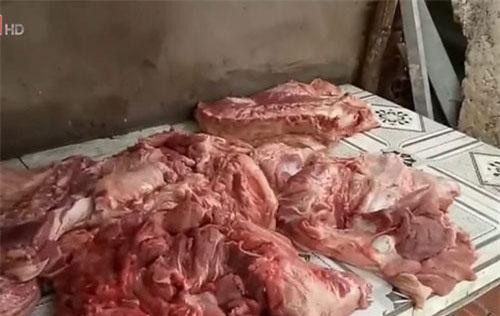 Vĩnh Long: Bắt quả tang cơ sở giết mổ lợn nghi bị bệnh ở Vĩnh Long