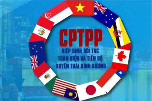 Thủ tướng chỉ định đầu mối triển khai Hiệp định CPTPP