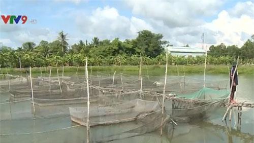 ĐBSCL xác định nhiều sản phẩm OCOP