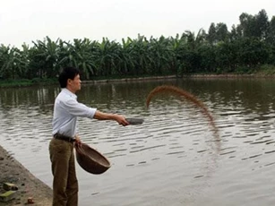 Doanh nghiệp nhạy bén, hoàn thiện hơn về sản phẩm với chuỗi OCOP