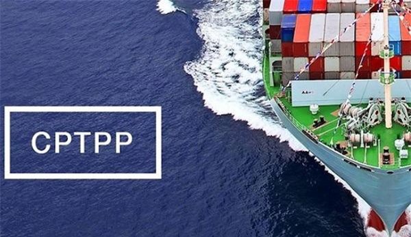 Chỉ định cơ quan đầu mối triển khai Hiệp định CPTPP