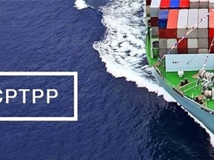 Chỉ định cơ quan đầu mối triển khai Hiệp định CPTPP