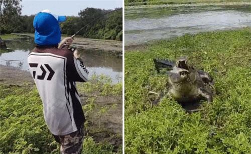 CLIP: Cần thủ ‘chạy mất dép’ vì bị cá sấu khổng lồ tranh chiến lợi phẩm