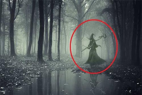 CLIP: ‘Kinh hãi’ trước 5 sinh vật trong truyền thuyết xuất hiện ngoài đời thật