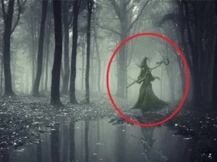 CLIP: ‘Kinh hãi’ trước 5 sinh vật trong truyền thuyết xuất hiện ngoài đời thật