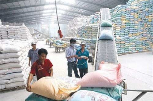 Tự động hóa trong sản xuất - Cách làm mới của doanh nghiệp gạo FDI