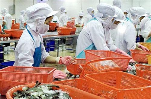 Doanh nghiệp hưởng lợi từ TFA