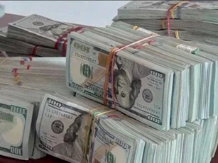 An Giang: Bắt vụ vận chuyển 470.000 USD qua biên giới