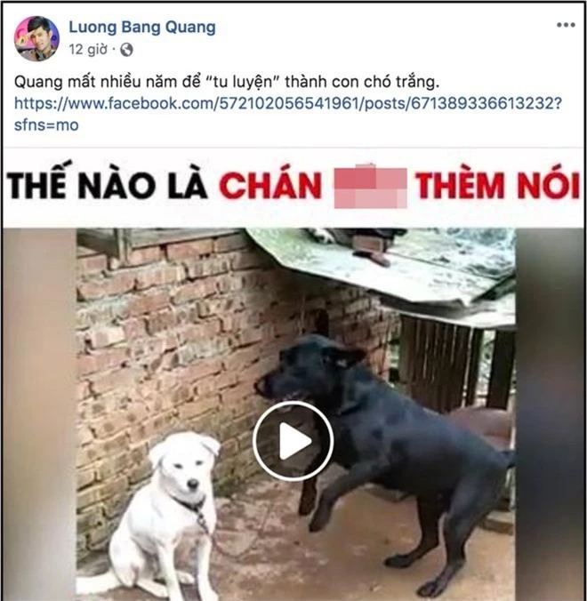 Bị tình cũ Ngân 98 tố ngoại tình tại nhà, Lương Bằng Quang liên tục có phản ứng gây tranh cãi - Ảnh 2.