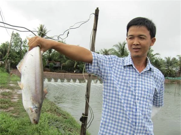 lam giau o nong thon: doi doi nho nuoi loai ca bong lau hinh anh 3