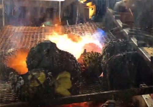 CLIP: Độc lạ với sầu riêng nướng cháy đen trên lò than, món ngon ở chợ đêm Thái Lan